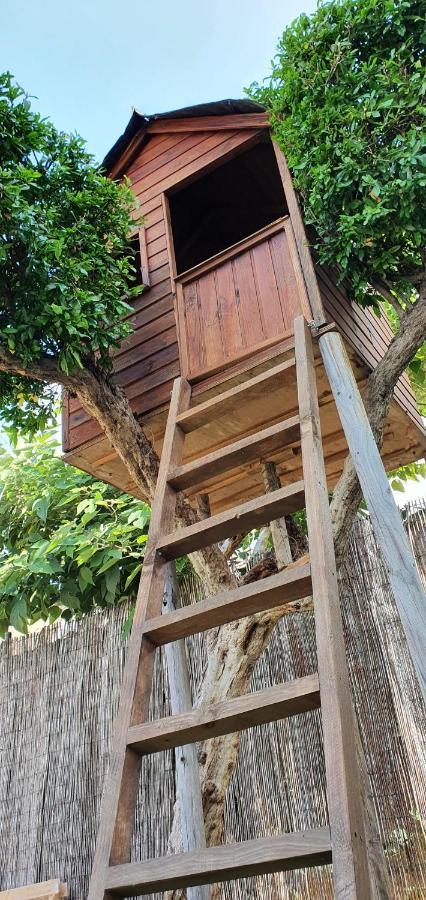Villa Rufol 代尔特布雷 外观 照片